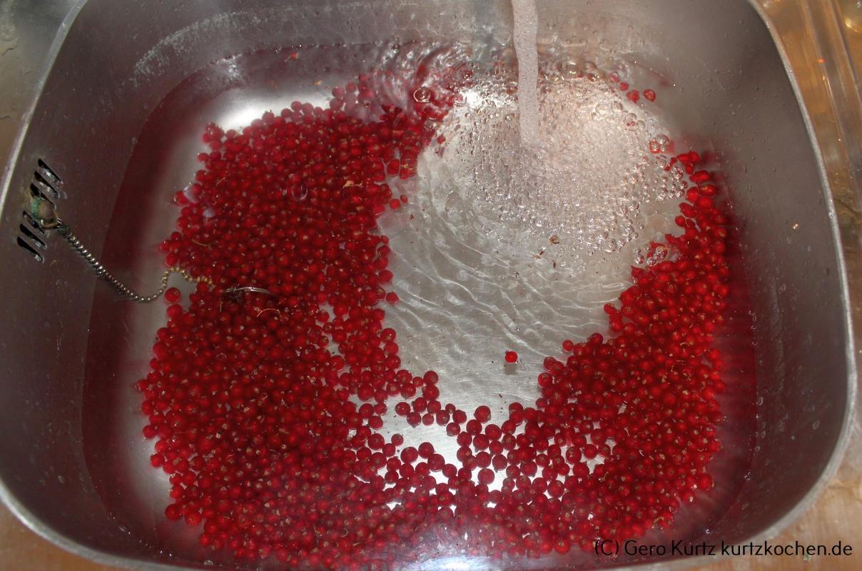 Rezept Johannisbeergelee - Johannisbeeren in einer Spüle mit Wasser
